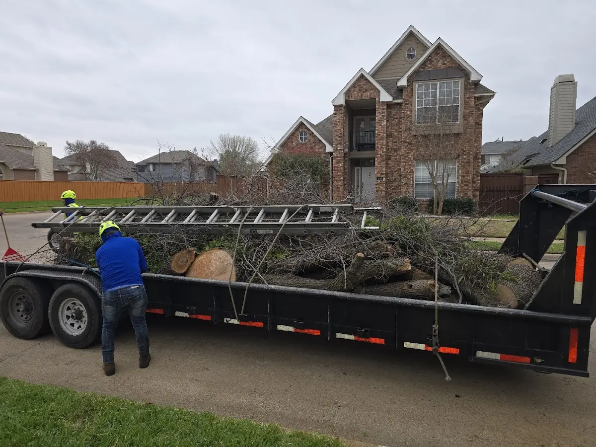 Expert Tree Fertilization with proper safety equipment in Pine Valley